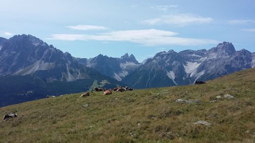 Scenic view of field and mountains against sky