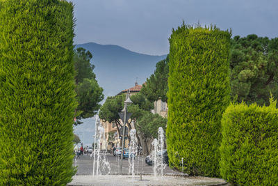 Panoramic shot of road by trees against sky in city