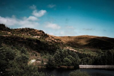 Bwlch nant yr arian visitor centre, near aberystwyth