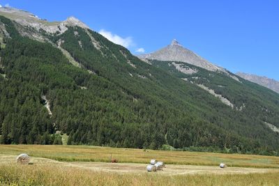 Hay bales with mountain peaks in the background, cogne, aosta, italy