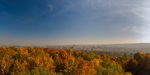 Scenic view of landscape against sky during autumn