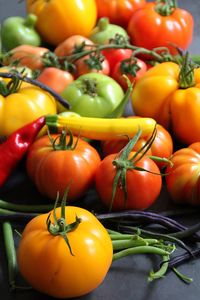 Colorful fresh vegetables, tomatoes and young courgettes harvested on the plot, yellow and green 