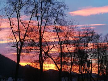 Silhouette trees against dramatic sky during sunset