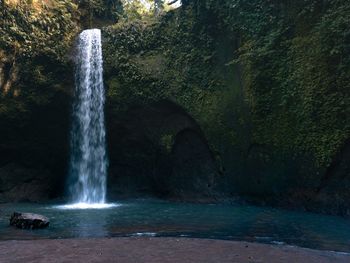 Scenic view of waterfall in forest