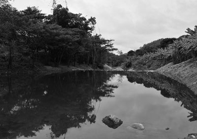 Reflection of trees in lake against sky