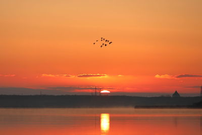 Silhouette bird flying over sea against orange sky