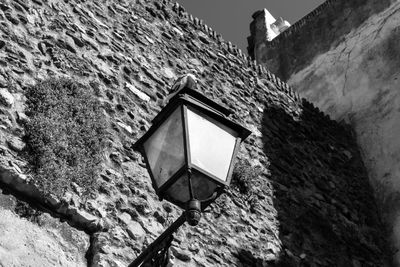 Low angle view of pigeon perching on lamp mounted on old wall