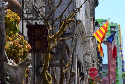 Low angle view of flags hanging amidst trees and buildings in city