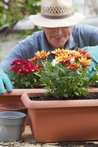 Midsection of man holding flowers in potted plant