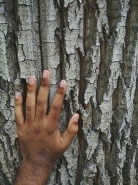 Close-up of hand on tree trunk