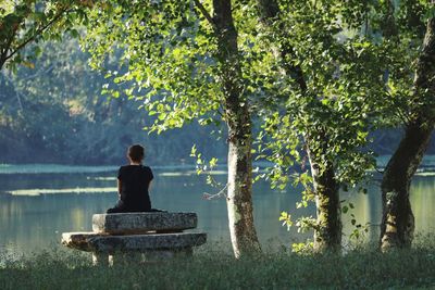 Rear view of woman sitting by lake