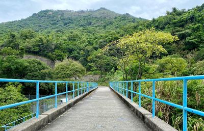 Footbridge amidst trees and plants