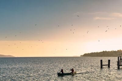 Silhouette people sitting on sea against clear sky during sunset