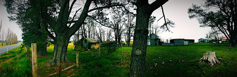 Trees and houses on field against sky