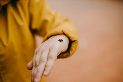 Close up child hand holding a ladybug