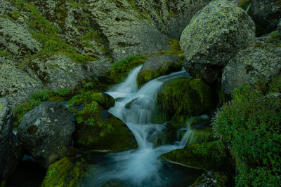 Scenic view of waterfall in forest