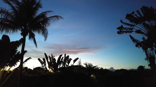 Silhouette palm trees against sky at sunset