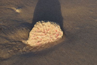 High angle view of sand at beach