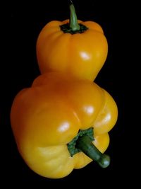 Close-up of yellow bell pepper against black background