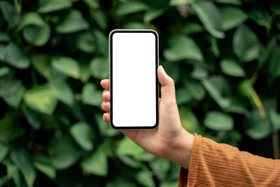 Human hand holding smart phone outdoors