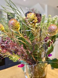 Close-up of purple flowering plant