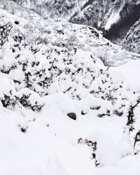 Aerial view of snow covered landscape