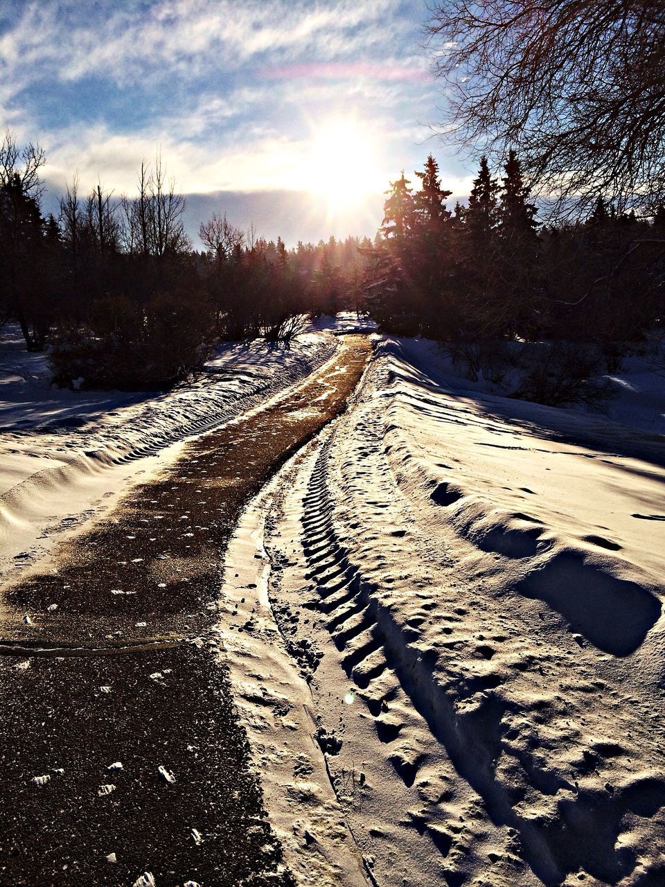 snow, winter, cold temperature, season, the way forward, sun, weather, sunlight, covering, tranquility, tranquil scene, sky, frozen, nature, tire track, landscape, beauty in nature, diminishing perspective, scenics, vanishing point