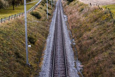 High angle view of railroad tracks amidst trees