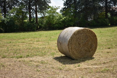 Hay bales on field