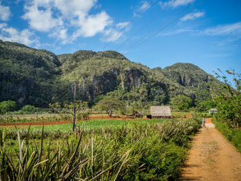 Scenic view of landscape against cloudy sky