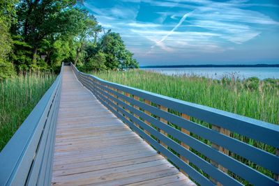 View of empty walkway along trees