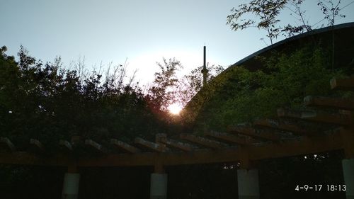 Low angle view of trees against sky during sunset