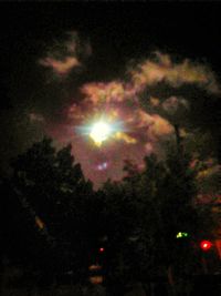 Low angle view of illuminated trees against sky at night