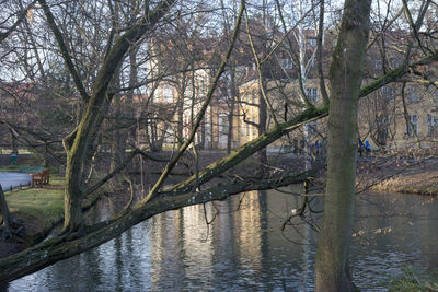 Scenic view of lake in forest