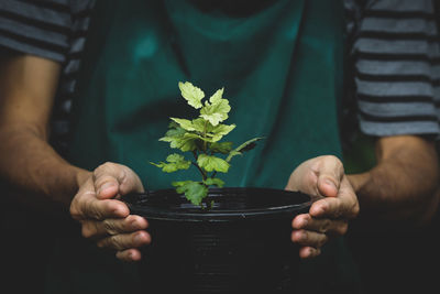 Midsection of man holding flower pot