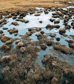 High angle view of rocks on beach