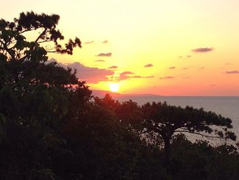 Scenic view of sea at sunset