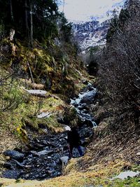 Rear view of man standing by river in forest