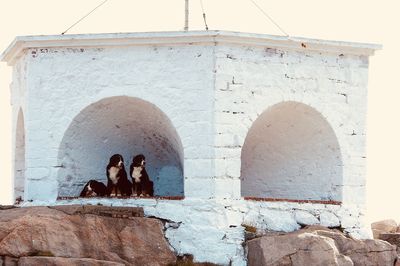 People sitting outside building