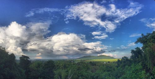 View of trees on landscape against cloudy sky