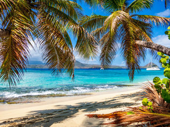 Palm trees on beach against sky