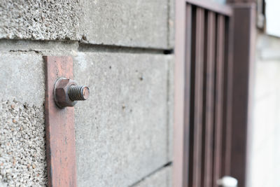 Close-up of nut bolt on wall