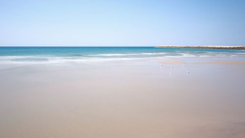Scenic view of sea against clear sky