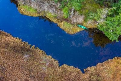 High angle view of lake against trees