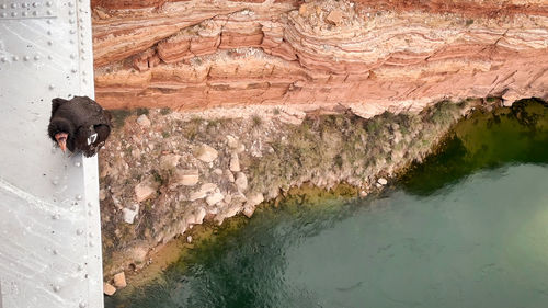 water