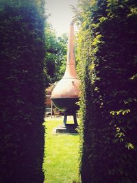 Trees growing in a park