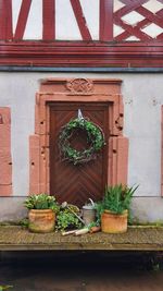 Potted plants on window of building