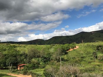 Scenic view of agricultural field against sky