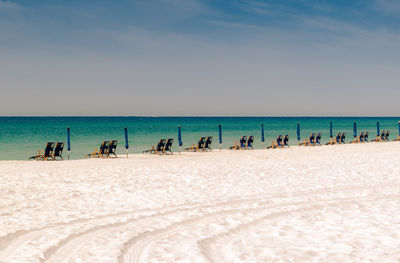 View of birds on beach against sky