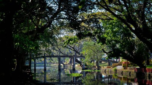 Built structure with trees in background